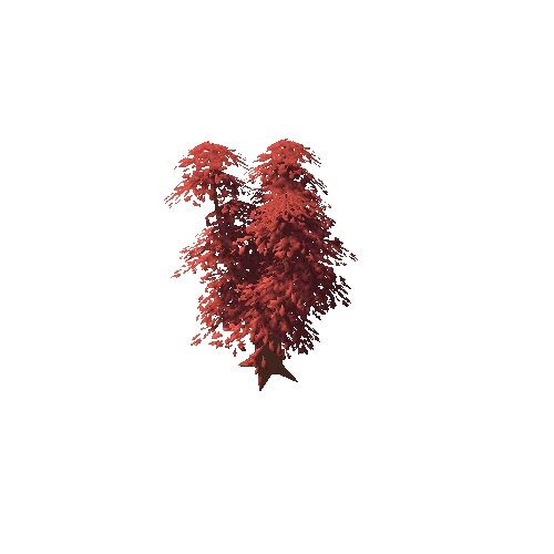 Oak Tree Red Big 03